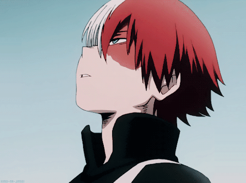 todoroki shouto