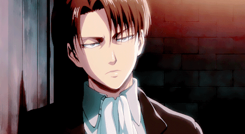 levi ackerman